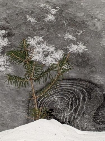 Patterns in the ice. Lapland had an early February thaw and refreeze, then some new snow