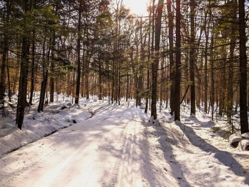 Trail on the Tunturi Loop down to overlook Woods Lake