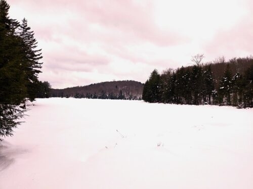 Dexter Lake, Ferris Lake Wild Forest Nothing but nothing for miles in every direction