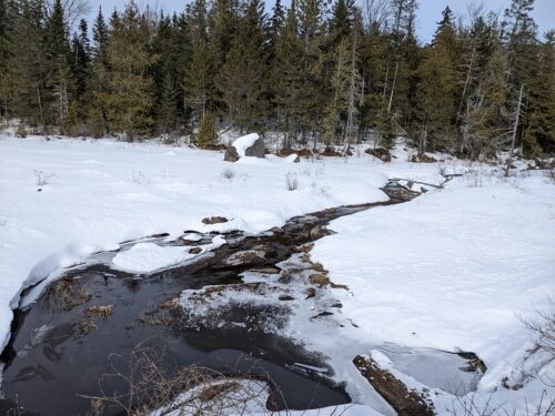 Carrabassett River from the Narrow Gauge Path