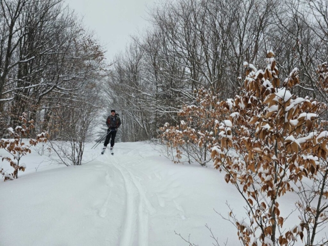 Brent at Blackwater Falls SP, West Virginia