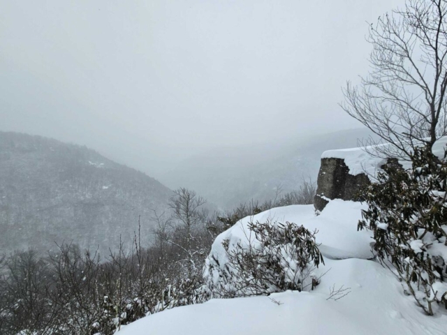 Pase Point Overlook, Blackwater Falls SP