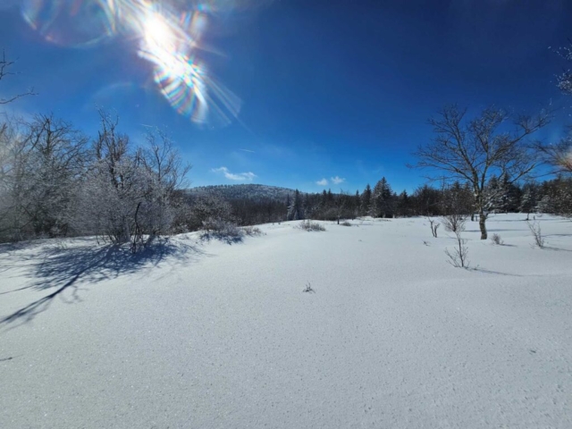 Stone Coal Flat, White Grass, WV