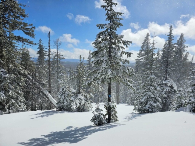 View at Swampy Sno-Park, Bend, OR