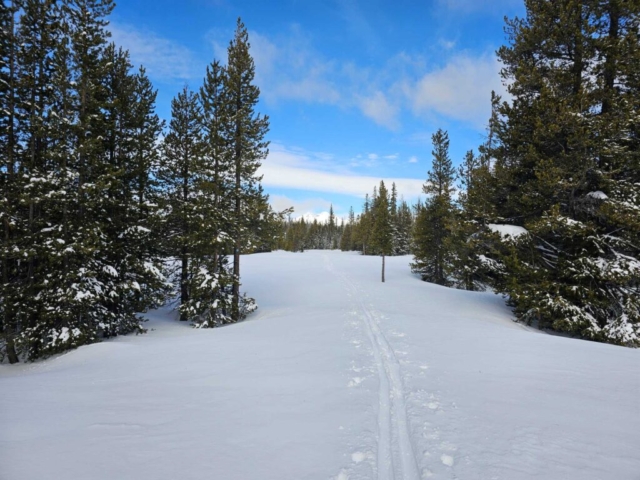 View at Swampy Sno-Park, Bend, OR