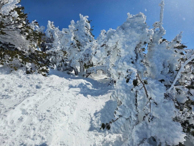View at Tumalo Mountain, Bend, OR