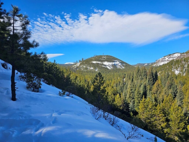 Trail into Tumalo Falls, Bend, OR