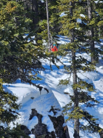 Trail into Tumalo Falls, Bend, OR