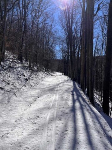 3 Mile Trail, White Grass, WV