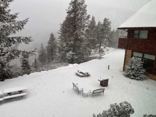 Snow at Blackwater Lodge, WV 1 7 2024