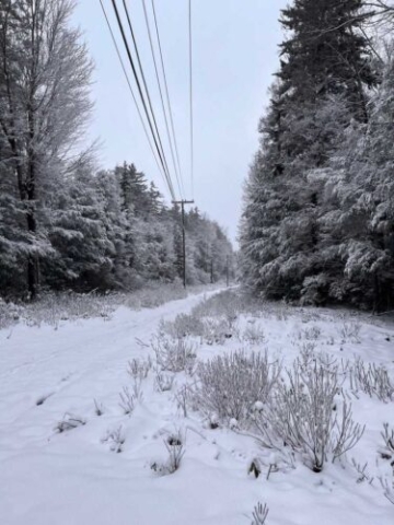 Watertank Trail, Blackwater Falls, WV 1 7 2024