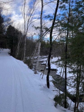 Ellis River Jackson STC