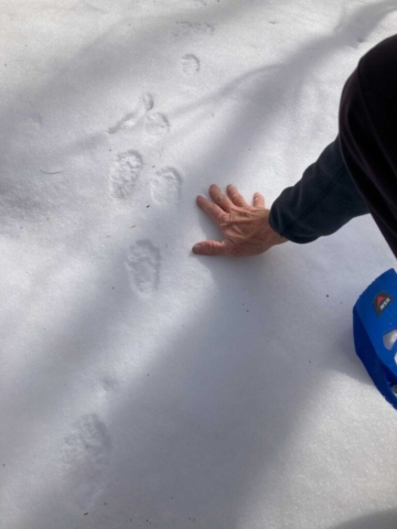 Bigger than a breadbox....What is it?