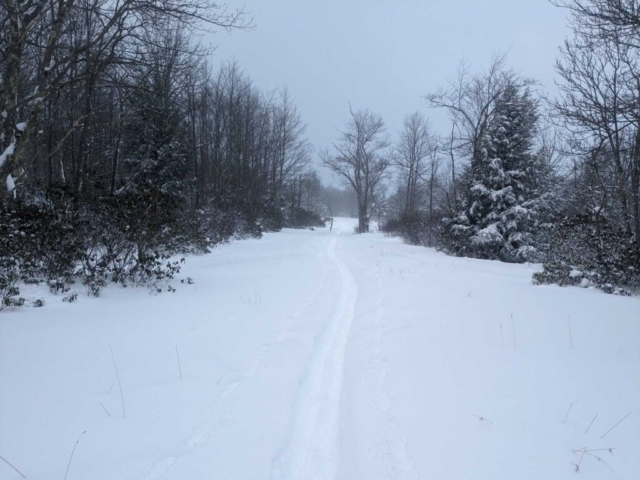 Spudder trail behind the cabins on the North Side of BWF SP