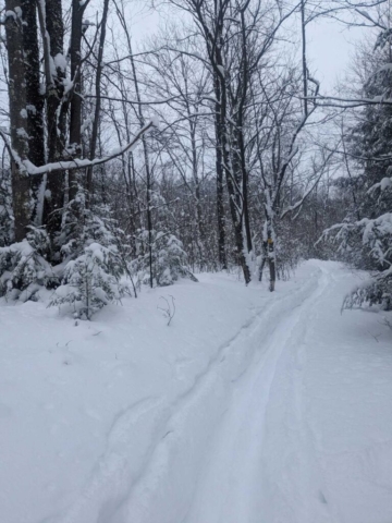 Ski tracks out to Pase Point, BWF SP