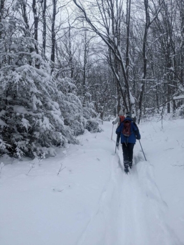 On the Trail to Pase Point