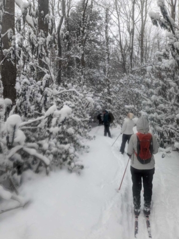 On the Trail to Pase Point