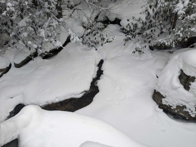 Elakala Trail near Blackwater Falls Lodge
