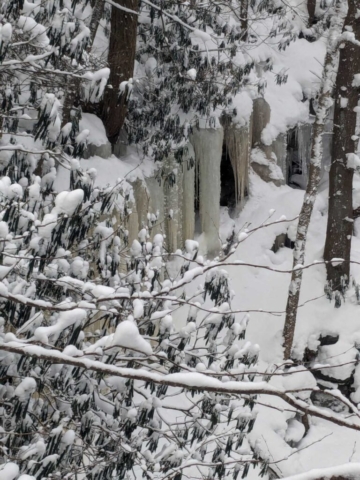 Elakala Trail near Blackwater Falls Lodge