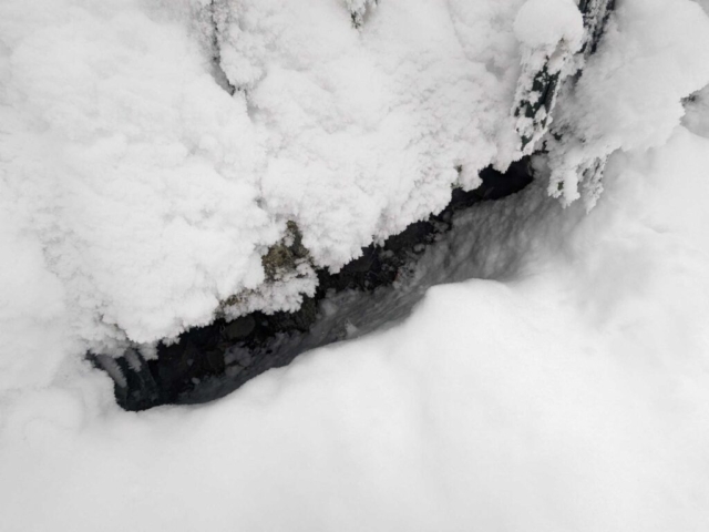 Elakala Trail near Blackwater Falls Lodge