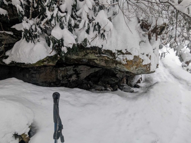 Elakala Trail near Blackwater Falls Lodge