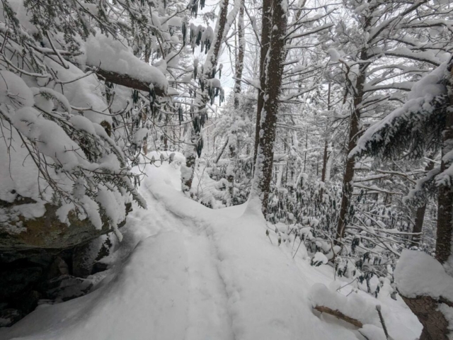 Elakala Trail near Blackwater Falls Lodge