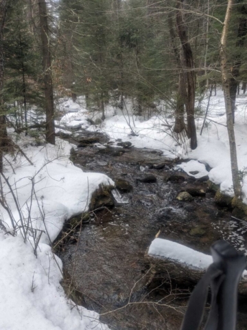 Melt off on the ski trails, Lapland Lakes Nordic Center, NY