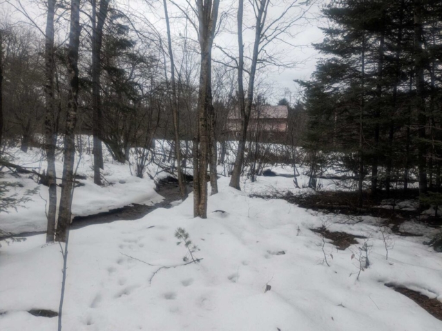 The old barn on the ski trails, Lapland Lakes Nordic Center, NY