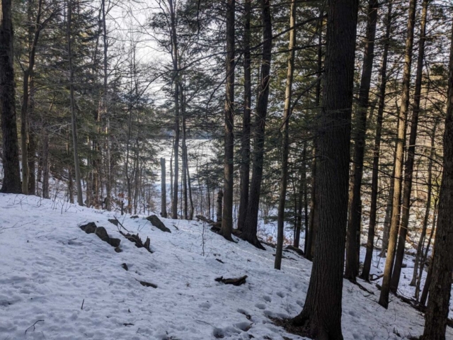 Woods Lake from Snowshoeing the Northville-Lake Placid Trail near Lapland Lakes, NY