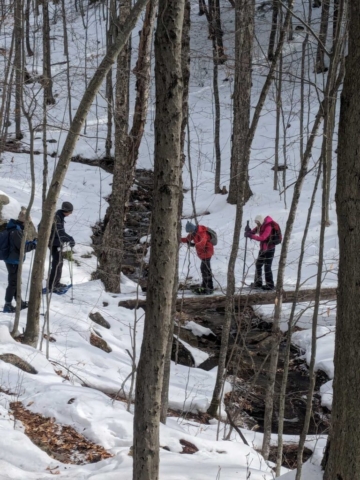 Crossing the "Bridge of Death" Snowshoeing the Northville-Lake Placid Trail near Lapland Lakes, NY