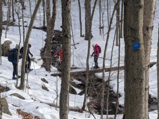 Crossing the "Bridge of Death" Snowshoeing the Northville-Lake Placid Trail near Lapland Lakes, NY