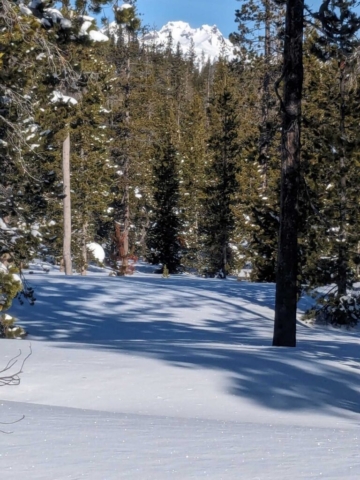 Snowshoe Trail at Swampy Sno-Park, Bend, OR