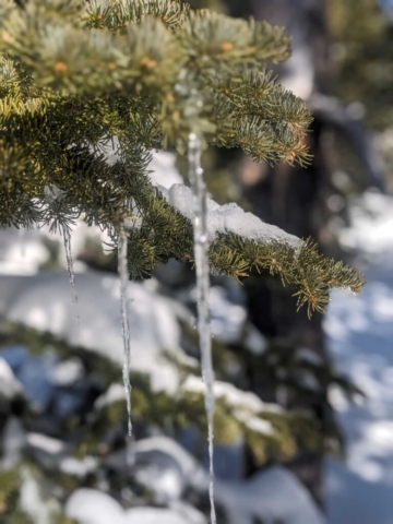 Snowshoe Trail at Swampy Sno-Park, Bend, OR