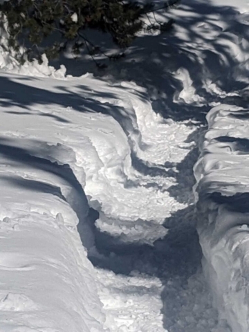 Snowshoe Trail at Swampy Sno-Park, Bend, OR