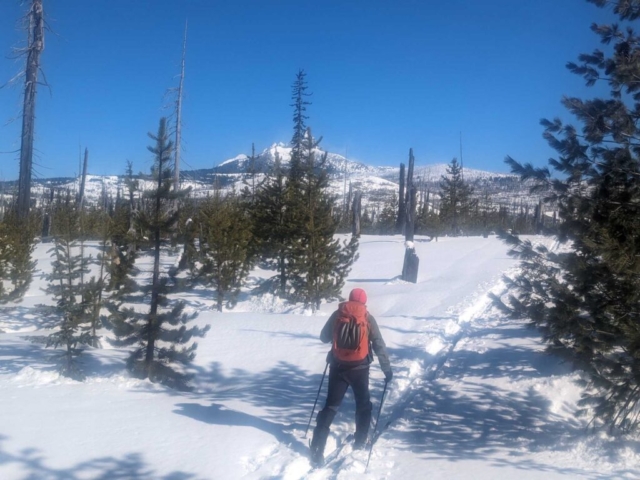 Ed skiing at Benson Sno-Park, Santiam Pass, OR