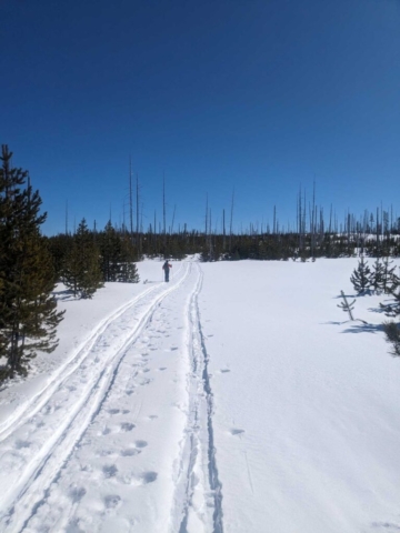Skiing at Ray Benson Sno-Park, Santiam Pass, OR