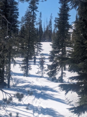Skiing at Ray Benson Sno-Park, Santiam Pass, OR