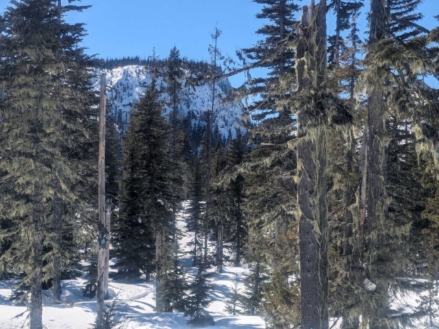Hayrick Butte at Ray Benson Sno-Park, Santiam Pass, OR