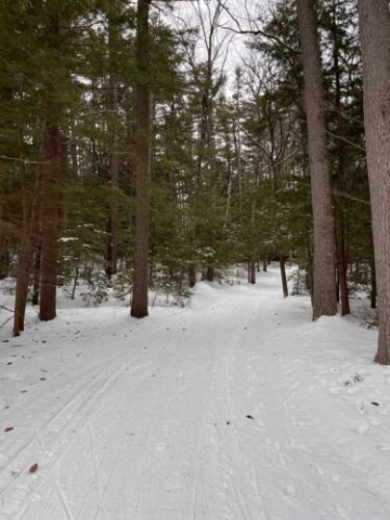 Whitaker Woods Trail, NH