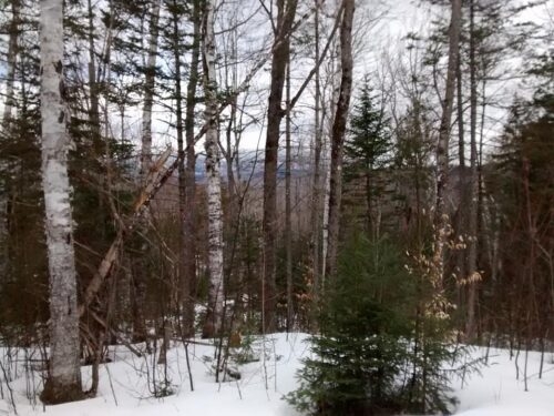 Scenery from snow shoe trails, Sugarloaf Nordic Center