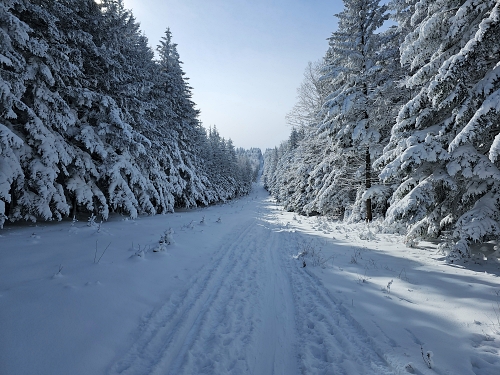 Ski trails White Grass Nordic Ski Area, WV