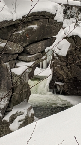 A frozen brook
