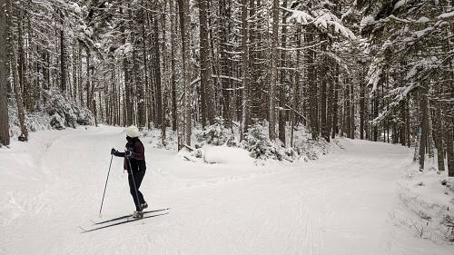A fork in the trails