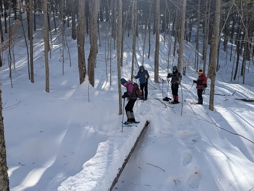 Jan crossing a two-log bridge on the Northville-Lake Placid trail near Lapland Lake, NY